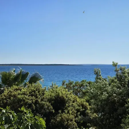 Giovanni Lejlighed Mandre